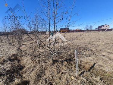 Россия, Вологодский муниципальный округ, деревня Мальгино (Подлесный сельсовет)