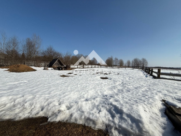 Россия, Вологодская область, Харовский муниципальный округ, деревня Денисовская