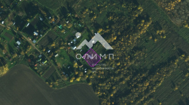 Россия, Вологодский муниципальный округ, деревня Павшино (Новленский сельсовет)