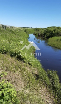 Россия, Вологодская область, Грязовецкий муниципальный округ, деревня Спасское, 62