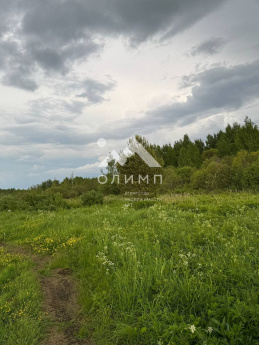 Россия, Вологодский муниципальный округ, деревня Новое (Борисовский сельсовет)