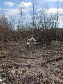 Россия, Вологодская область, село Нюксеница, Южная улица, 10