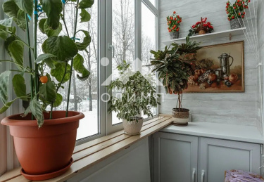 Россия, Вологда, улица Гагарина, 2Ак5