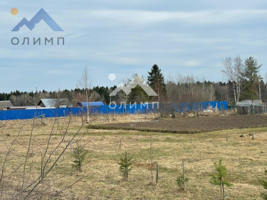 Россия, Вологодский муниципальный округ, деревня Щекино