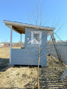 Россия, Вологодская область, Шекснинский муниципальный округ, деревня Золотуха, 27