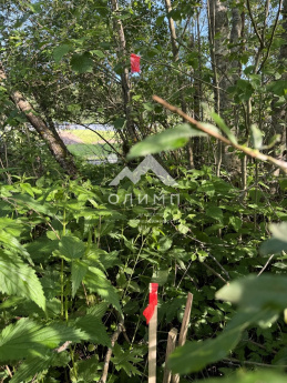 Россия, Вологодский муниципальный округ, деревня Матвеевское (Марковский сельсовет)