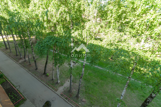 Россия, Вологда, улица Некрасова, 71