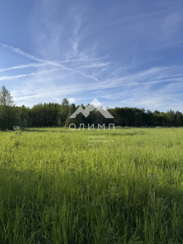 Россия, Вологодский муниципальный округ, деревня Матвеевское (Марковский сельсовет)