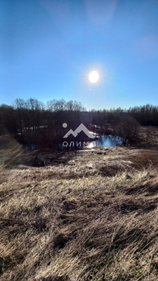 Россия, Вологодская область, Вашкинский муниципальный округ, деревня Грикшино, 12