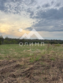 Россия, Вологодская область, Междуреченский муниципальный округ, деревня Космово