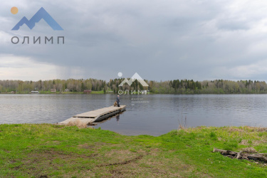 Россия, Вологодская область, Шекснинский муниципальный округ, деревня Погорелка (Ершовский сельсовет)