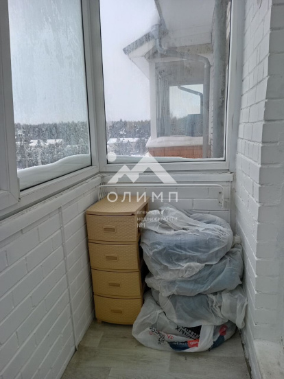 Россия, Вологодский муниципальный округ, посёлок Лесково, 45