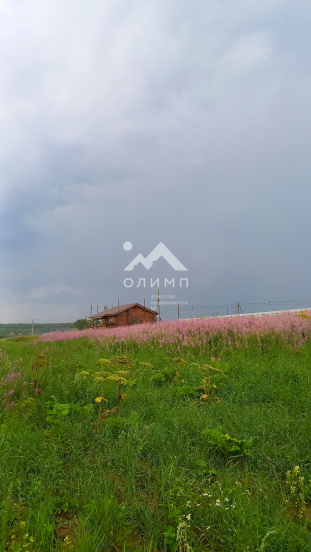 Россия, Вологодский муниципальный округ, деревня Стризнево (Старосельский сельсовет)