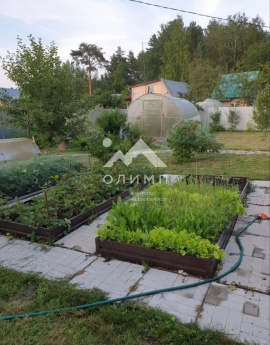 Россия, Вологодский муниципальный округ, садоводческое товарищество Сосенка