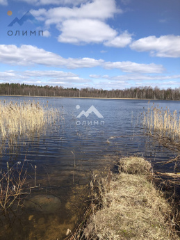 Россия, Вологодская область, Кирилловский муниципальный округ, деревня Славянка