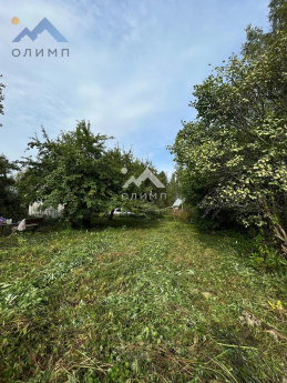 Россия, Вологодский муниципальный округ, садоводческое товарищество Лиана