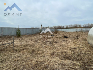 Россия, Вологодский муниципальный округ, деревня Щекино