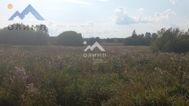 Россия, Вологодский муниципальный округ