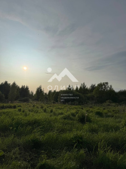 Россия, Вологодский муниципальный округ, деревня Новое (Борисовский сельсовет)