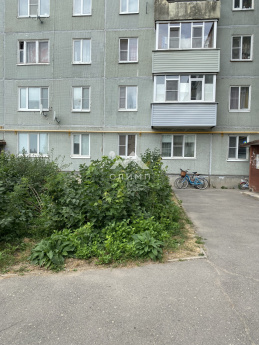 Россия, городской округ Вологда, село Молочное, Парковая улица, 14