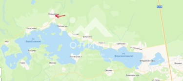 Россия, Вологодская область, Кирилловский муниципальный округ, деревня Кнышево