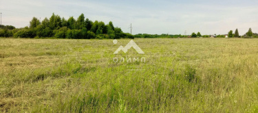 Россия, Вологодский муниципальный округ, деревня Аксёново