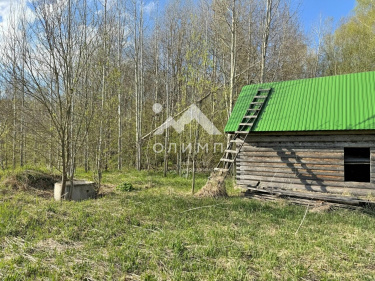 Россия, Вологодский муниципальный округ, посёлок Грибково