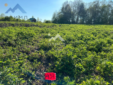 Россия, Вологодский муниципальный округ, деревня Игнатово