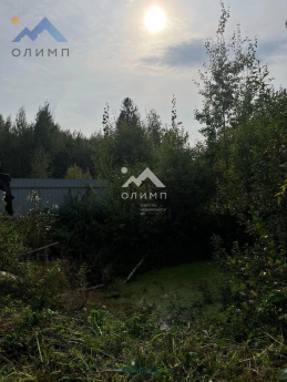 Россия, Вологодский муниципальный округ, садоводческое товарищество Лиана