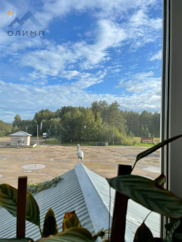 Россия, Вологодская область, Верховажский муниципальный округ, село Чушевицы, Московская улица, 15А 3454668121