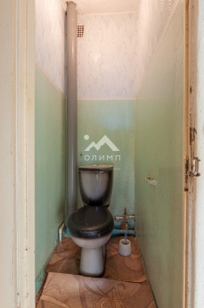 Россия, Вологодская область, Сокольский муниципальный округ, деревня Литега, 23