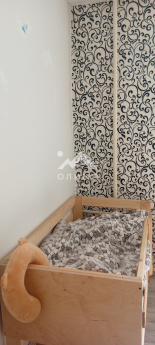 Россия, Вологда, улица Солодунова, 60