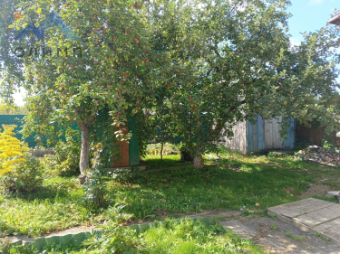 Вологодская область, село Минькино, Дачная улица, 20 10112