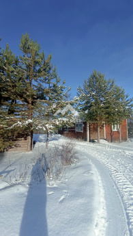 Россия, Архангельская область, Вельский район, муниципальное образование Усть-Вельское, деревня Пахотинская, 26