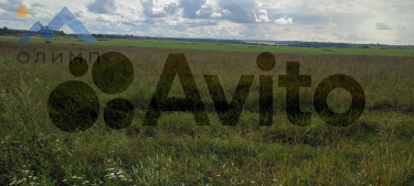 Россия, Вологодский муниципальный округ, деревня Пилатово 4702590441