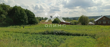 Россия, Вологодская область, Харовский муниципальный округ, деревня Сысоиха