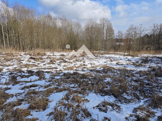 Россия, Вологодский муниципальный округ, деревня Ирхино