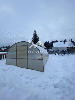 Россия, Вологодская область, Междуреченский муниципальный округ, село Шуйское, Лесная улица, 20