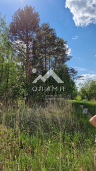 Россия, Вологодская область, Кирилловский муниципальный округ, деревня Гридинская, 2
