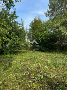 Россия, Вологодский муниципальный округ, садоводческое товарищество Лиана