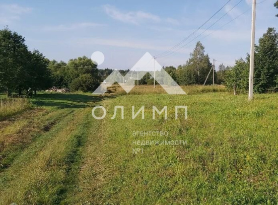 Россия, Вологодская область, Череповецкий муниципальный округ, село Ильинское (Домозёровский сельсовет)