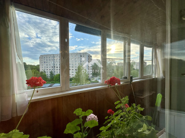 Россия, Вологда, улица Ловенецкого, 20А