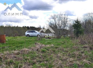 Россия, Вологодский муниципальный округ, садоводческое товарищество Костино-1