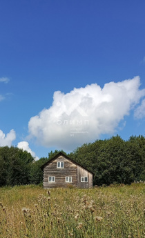 Россия, Вологодская область, Харовский муниципальный округ, деревня Сысоиха