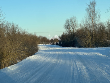 Россия, Вологодский муниципальный округ, деревня Павшино (Новленский сельсовет)