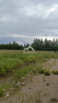 Россия, Вологда, СНТ Доронинский