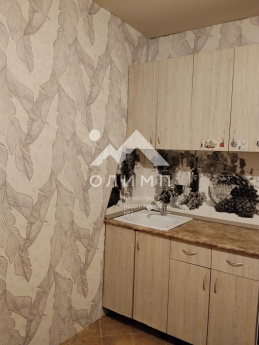 Россия, Вологда, Фрязиновская улица, 29Б