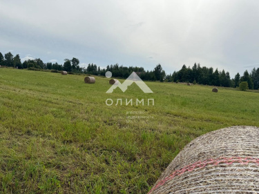 Россия, Вологодский муниципальный округ, деревня Андрюшино