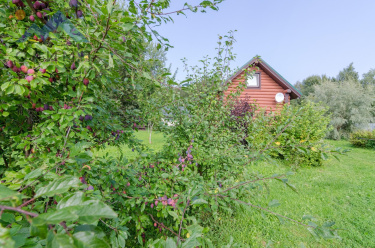 Россия, Вологодский муниципальный округ, село Первомайское, Владимирская улица, 13