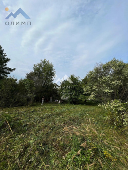 Россия, Вологодский муниципальный округ, садоводческое товарищество Лиана